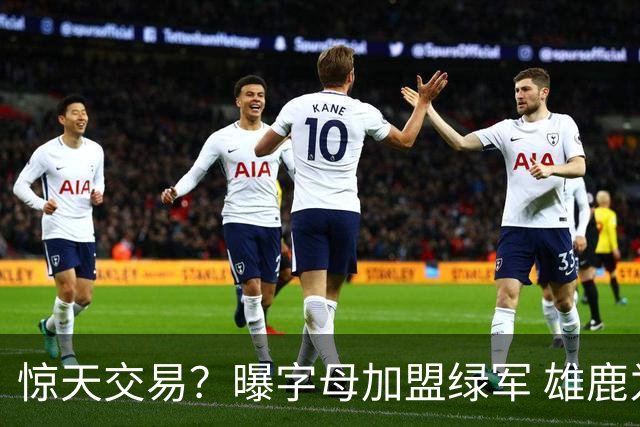 惊天交易？曝字母加盟绿军 雄鹿为布朗寻找第三方